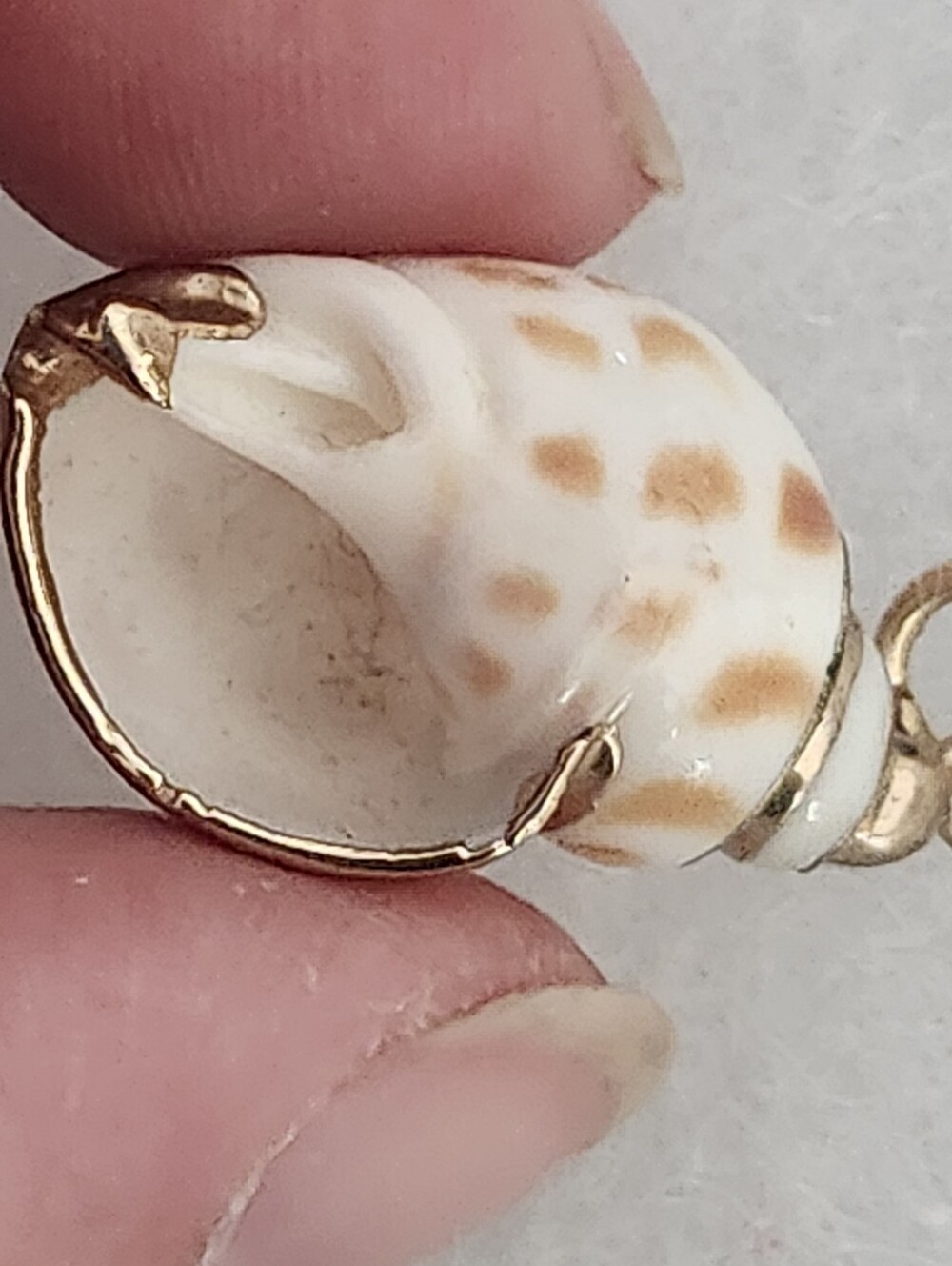 Seashell Pendant Brown & White With Gold Tone Trim & Bail - Picture 4 of 11